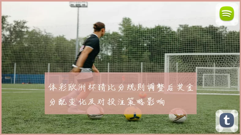 体彩欧洲杯猜比分规则调整后奖金分配变化及对投注策略影响