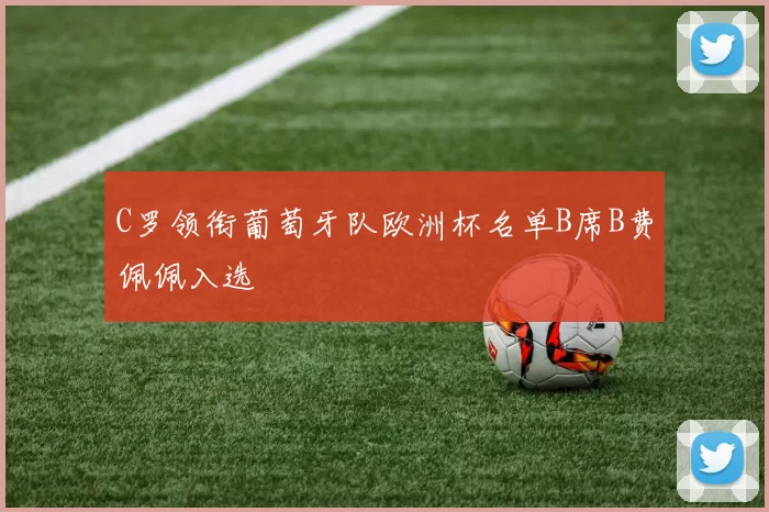 C罗领衔葡萄牙队欧洲杯名单B席B费佩佩入选