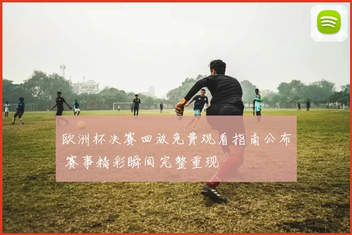 欧洲杯决赛回放免费观看指南公布 赛事精彩瞬间完整重现