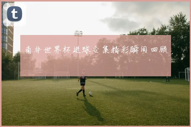 南非世界杯进球合集精彩瞬间回顾